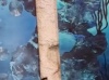Corsica Art Fair - Salon du Printemps