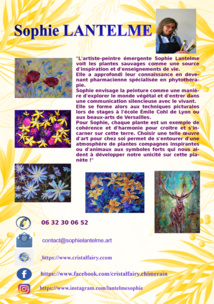 Natur'Arts - Digital Art Gallery